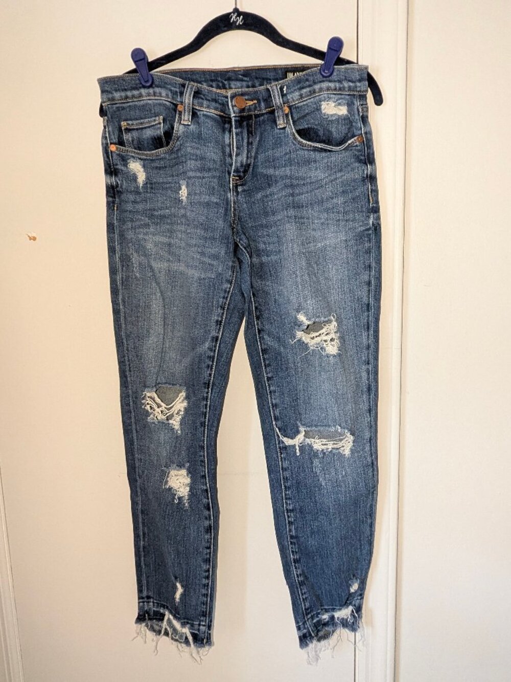 BLANKNYC The Ludlow Distressed Skinny Jeans 26